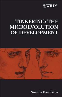 Tinkering - Gregory Bock R. 