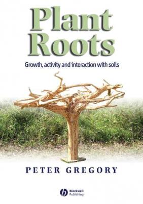 Plant Roots - Peter Gregory J. 