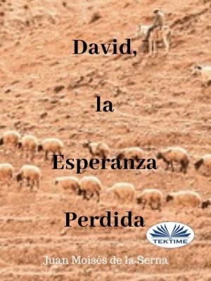 David, La Esperanza Perdida - Serna Moisés De La Juan 