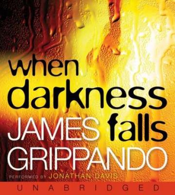 When Darkness Falls - James  Grippando Jack Swyteck Novel