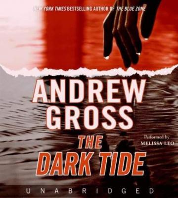 Dark Tide - Andrew Gross 
