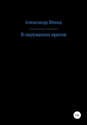 В окружении врагов - Александр Витальевич Шмид 