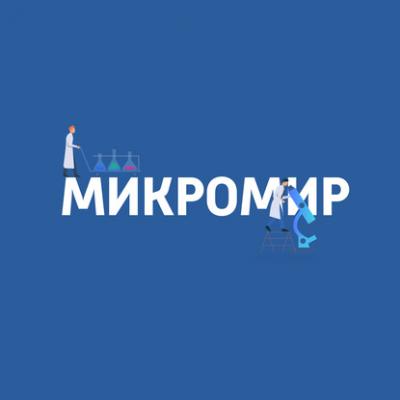 Коронавирусы и механизмы эпидемии - Картаев Павел Микромир