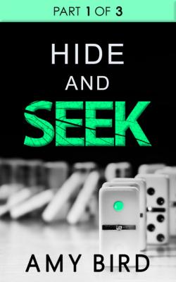 Hide And Seek (Part 1) - Amy Bird 