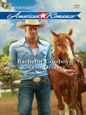Bachelor Cowboy - Roxann Delaney Mills & Boon Love Inspired