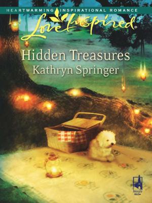 Hidden Treasures - Kathryn Springer Mills & Boon Love Inspired