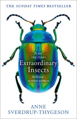 Extraordinary Insects - Anne Sverdrup-Thygeson 
