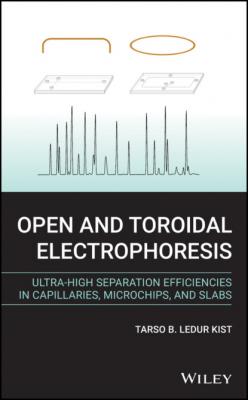 Open and Toroidal Electrophoresis - Tarso B. Ledur Kist 