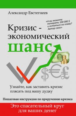 Кризис: экономический шанс - Александр Евстегнеев 