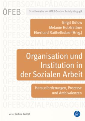 Organisation und Institution in der Sozialen Arbeit - Группа авторов Schriftenreihe der ÖFEB-Sektion Sozialpädagogik