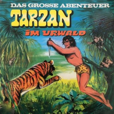 Tarzan - Das große Abenteuer, Folge 1: Tarzan im Urwald - Anke Beckert 