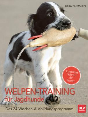 Welpen-Training für Jagdhunde - Julia Numßen 