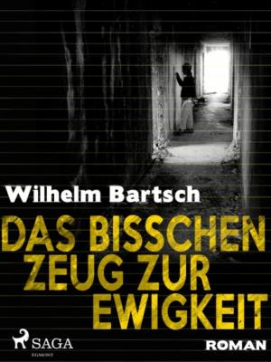 Das bisschen Zeug zur Ewigkeit - Wilhelm Bartsch 
