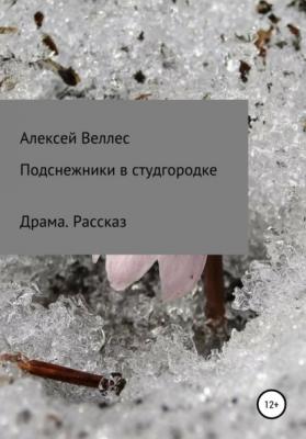 Подснежники в студгородке - Алексей Веллес 