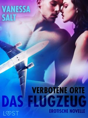 Verbotene Orte: Das Flugzeug - Erotische Novelle - Vanessa Salt LUST