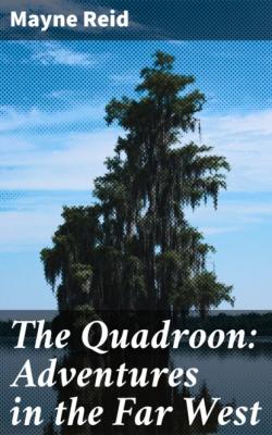 The Quadroon: Adventures in the Far West - Майн Рид 