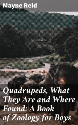Quadrupeds, What They Are and Where Found: A Book of Zoology for Boys - Майн Рид 