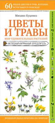Цветы и травы. Мир удивительных растений - Михаил Куценко Природа в кармане