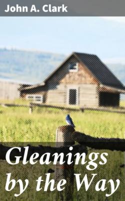Gleanings by the Way - John A. Clark 
