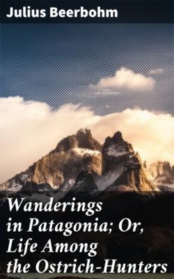 Wanderings in Patagonia; Or, Life Among the Ostrich-Hunters - Beerbohm Julius 