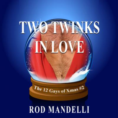 Two Twinks In Love - 12 Gays of Xmas, book 2 (Unabridged) - Rod Mandelli 