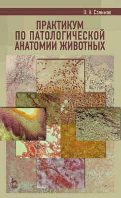 Практикум по патологической анатомии животных - В. А. Салимов 