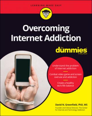 Overcoming Internet Addiction For Dummies - David N. Greenfield 