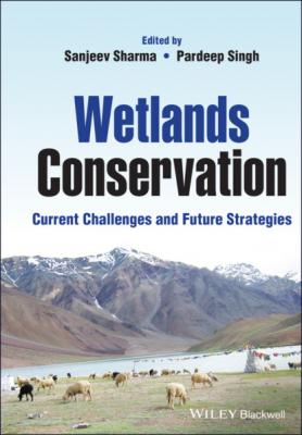 Wetlands Conservation - Группа авторов 