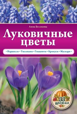 Луковичные цветы - Анна Белякова 33 урожая
