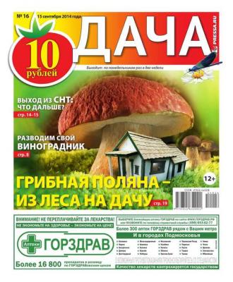 Дача 16-2014 - Редакция газеты Дача Pressa.ru Редакция газеты Дача Pressa.ru