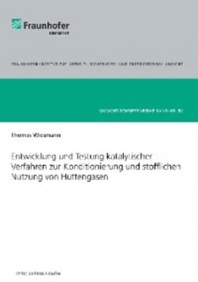Entwicklung und Testung katalytischer Verfahren zur Konditionierung und stofflichen Nutzung von Hüttengasen - Thomas Wiesmann 