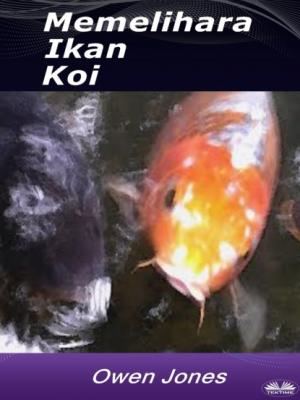 Memelihara Ikan Koi - Owen Jones 