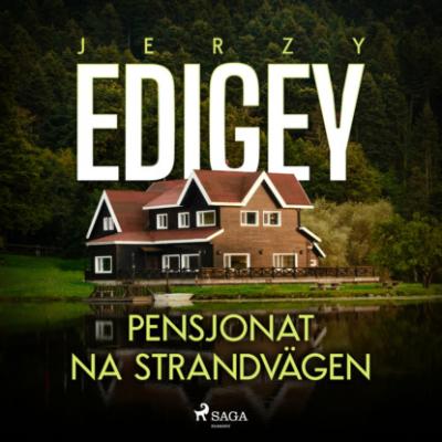 Pensjonat na Strandvägen - Jerzy Edigey 