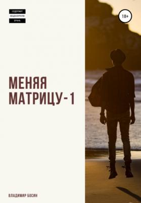Меняя матрицу – 1 - Владимир Георгиевич Босин 