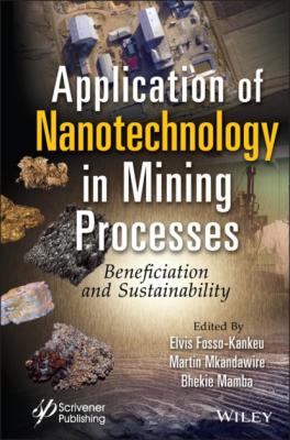 Application of Nanotechnology in Mining Processes - Группа авторов 