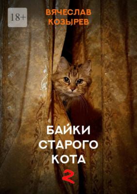 Байки старого кота – 2 - Вячеслав Козырев 