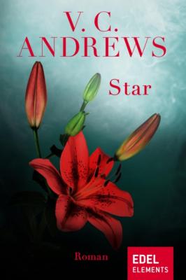 Star - V.C. Andrews Die Wildflower-Saga