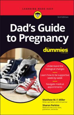 Dad's Guide to Pregnancy For Dummies - Sharon  Perkins 