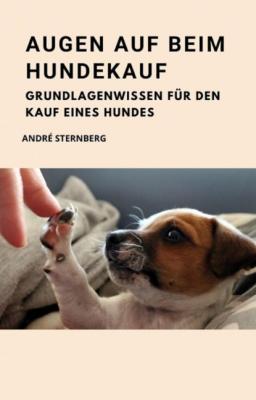 Augen auf beim Hundekauf - André Sternberg 