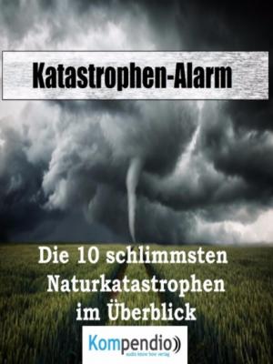 Katastrophen-Alarm: - Alessandro Dallmann 