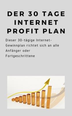 Der 30 Tage Internet Profit Plan - André Sternberg 
