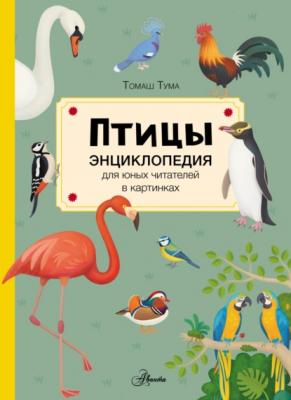 Птицы - Томаш Тума Энциклопедия для юных читателей в картинках