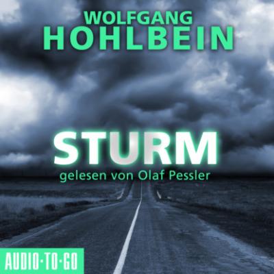 Sturm (Gekürzt) - Wolfgang Hohlbein 