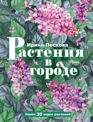 Растения в городе - Ирина Пескова Оглянись вокруг