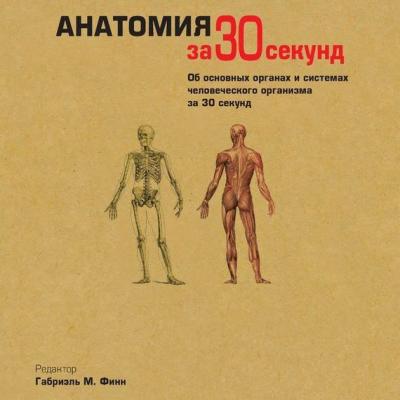 Анатомия за 30 секунд - Коллектив авторов За 30 секунд