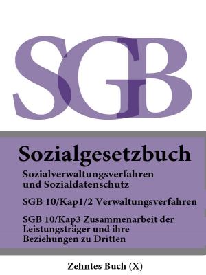 Sozialgesetzbuch (SGB) Zehntes Buch (X ) – Sozialverwaltungsverfahren und Sozialdatenschutz - Deutschland 