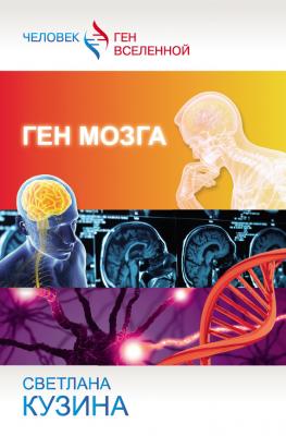 Ген мозга - Светлана Кузина Человек – ген Вселенной