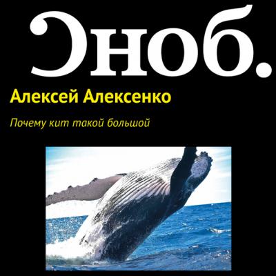 Почему кит такой большой - Алексей Алексенко Наука (статьи журнала Сноб)