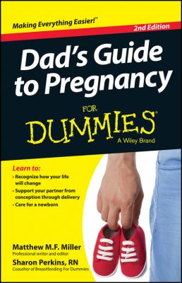 Dad's Guide To Pregnancy For Dummies - Sharon  Perkins 