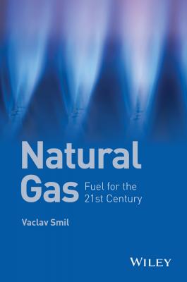 Natural Gas. Fuel for the 21st Century - Vaclav  Smil 